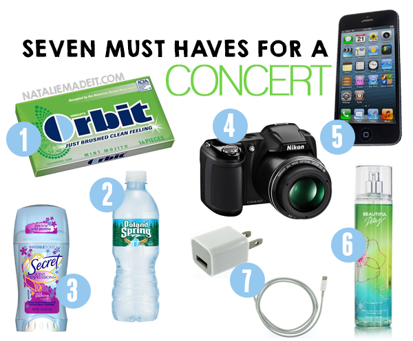 7 Things You Must Bring With You To A Concert