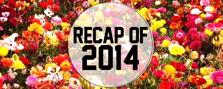 Recap of 2014!