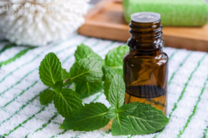 Cleaning Tips with Peppermint Essential Oils