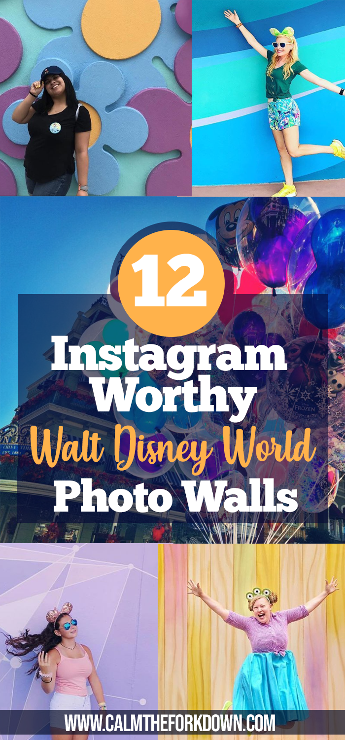 10+ Instagram Worthy Walt Disney World Photo Walls