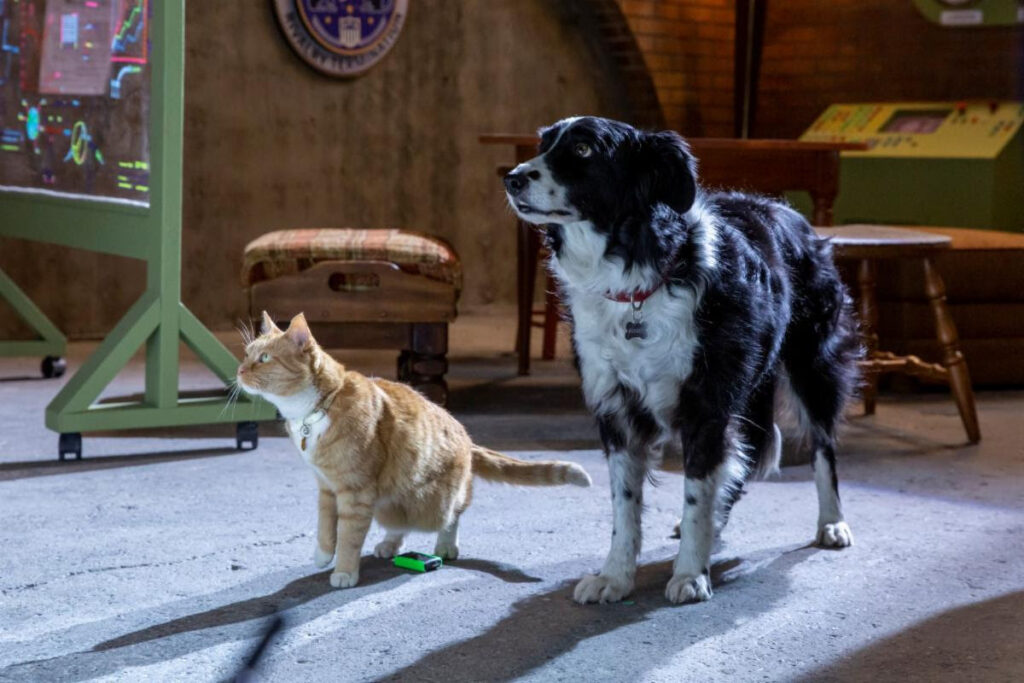 Cats & Dogs 3: Paws Unite! #CatsandDogs3