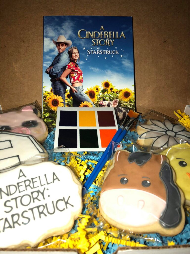 A Cinderella Story: Starstruck Available on DVD 7/13 #CinderellaStarstruck