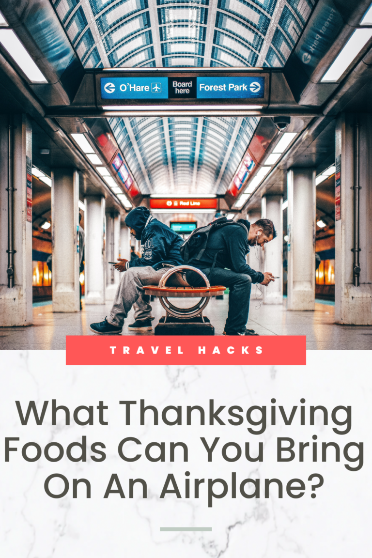 What Thanksgiving Foods Can You Bring On An Airplane?